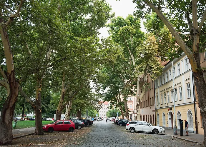 Gesse Kollarova * Prag